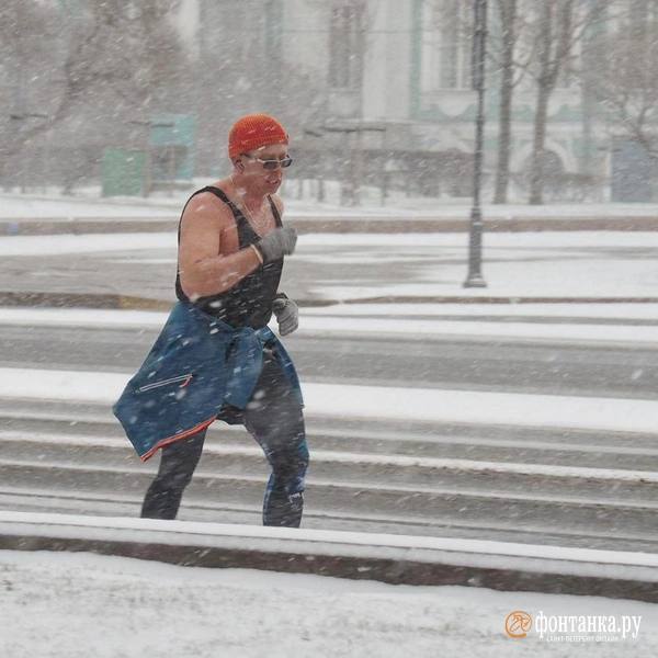Источник: Михаил Огнев / «Фонтанка.ру»