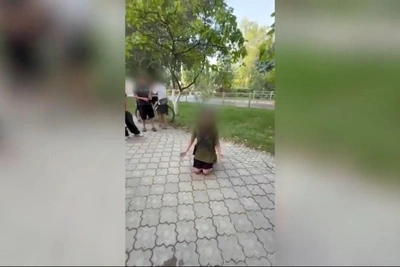 В Михайловке школьницу заставили извиняться на коленях