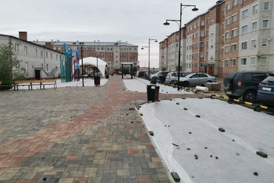 Подрядчик устранил замечания по озеленению в Нарьян-Маре