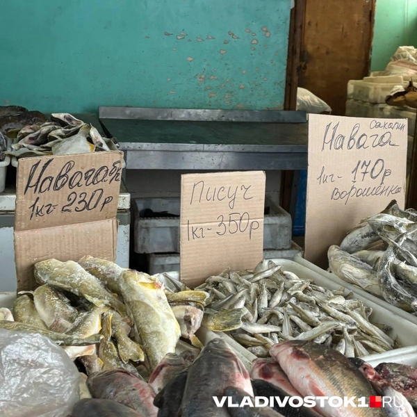 Источник: Елена Буйвол / VLADIVOSTOK1.RU