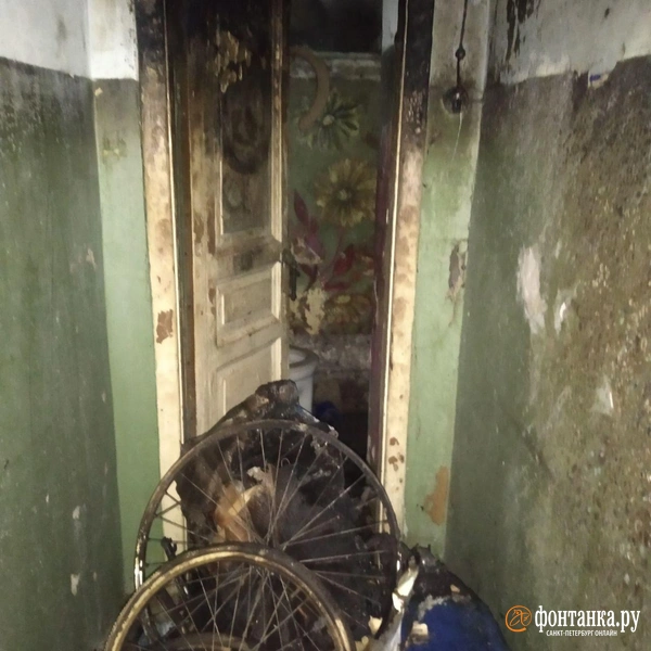 Источник: Ирина Багликова / «Фонтанка.ру»