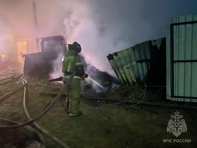 На место прибыло более 10 пожарных | Источник: пресс-служба МЧС по Алтайскому краю