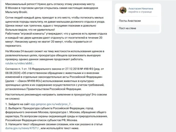 Активистка написала гайд, как пожаловаться в прокуратуру | Источник: Анастасия Никитина / Vk.com
