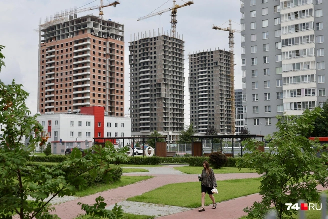 Грызуны могут бежать со стороны стройки, предполагают в жэке | Источник: Наталья Лапцевич