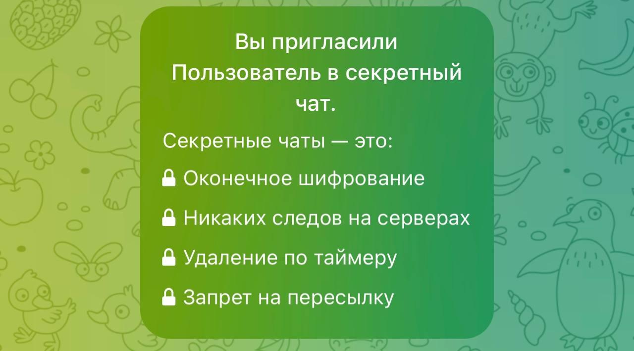 Секретный чат в телеграмме как удалить у собеседника фото 50