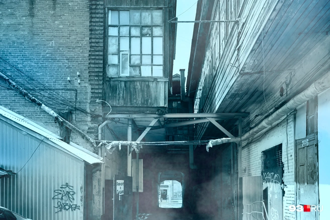 Пахнет пси…Джейкобом | Источник: Мария Романова / 93.RU