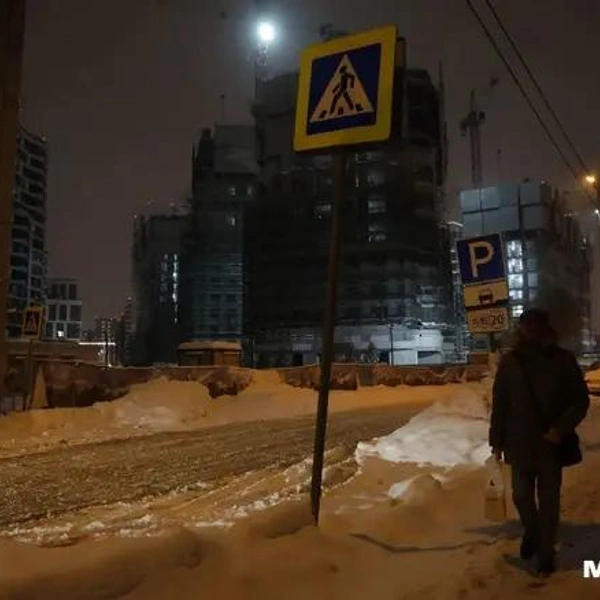 Источник: Дмитрий Толстошеев / MSK1.RU