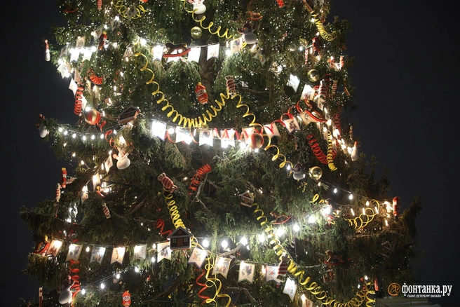 Украсить планируют 11 участков города | Источник: Сергей Михайличенко / FONTANKA.RU