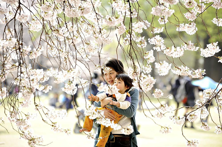 Коллективное сознательное: как воспитывают детей в Японии