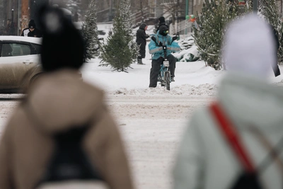 В Югре за год в ДТП погибли 12 пешеходов