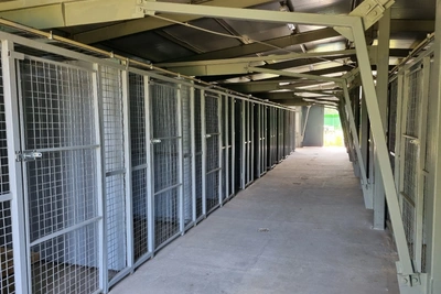 Что происходит с приютом «Джина» в Ярославле