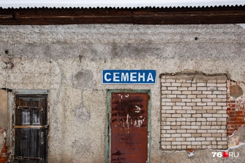 Есть ощущение, что семена за дверью больше не продают | Источник: Кирилл Поверинов / 76.RU