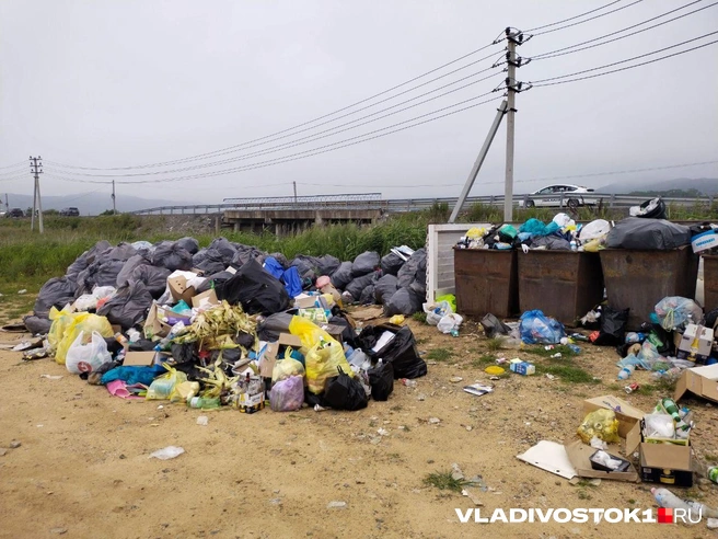 Источник: Екатерина Дымова / VLADIVOSTOK1.RU 