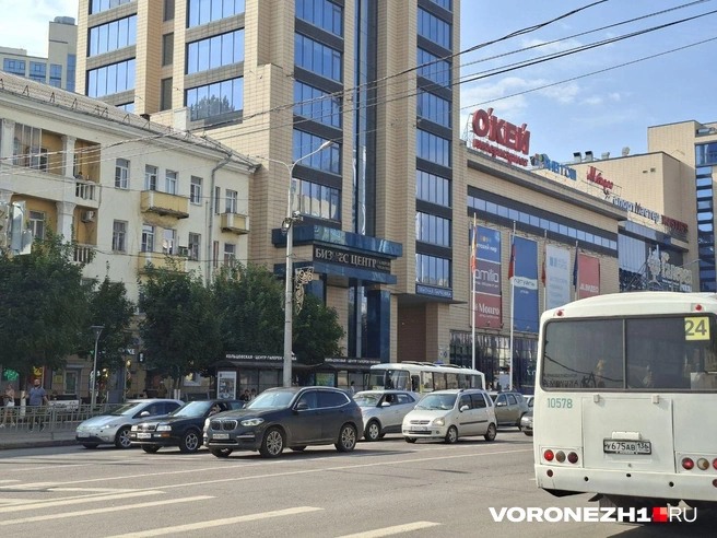 Источник: Алена Воропаева/ Voronezh1.ru