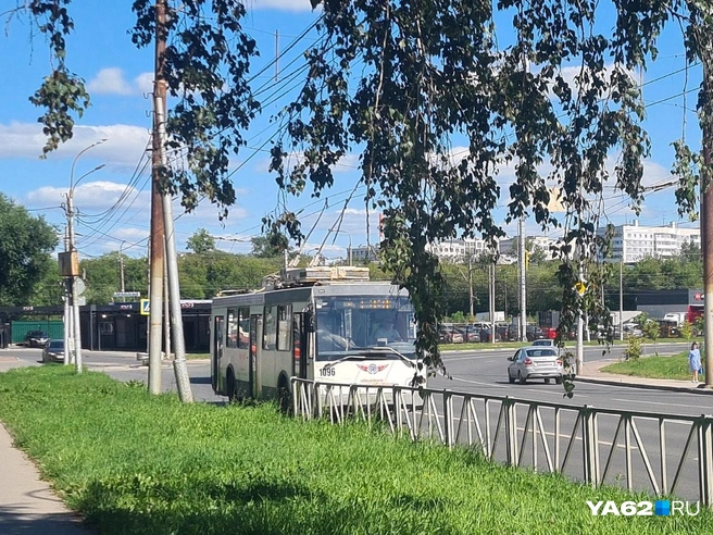 Нужен ли городу этот транспорт? | Источник: Светлана Коновалова / YA62.RU