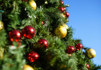 И вот она нарядная: когда и как елка стала атрибутом новогодних праздников