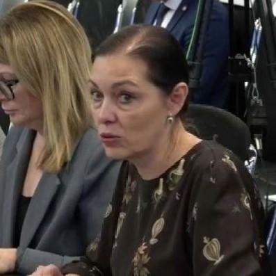 <p>Елена Белик</p>