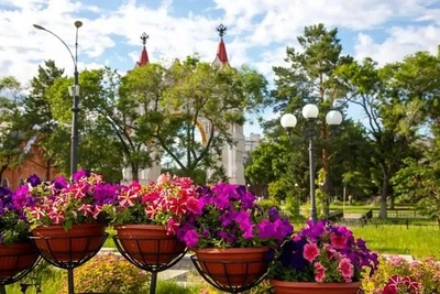 На набережной Амура в Благовещенске заложили аллею ясеней