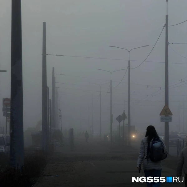 В такую погоду нужно быть уверенным, что знаешь дорогу  | Источник: читатель NGS55.RU