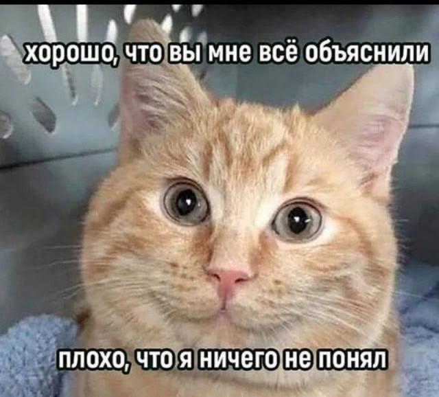 100 мемов из TikTok и про него: смех, ностальгия и немного кринжа