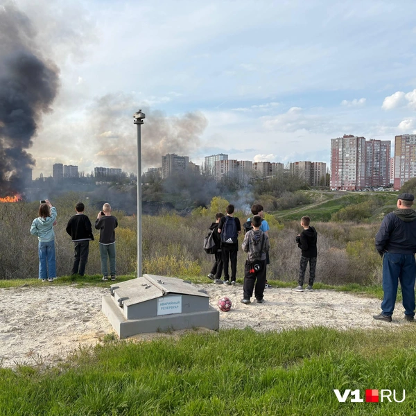 Источник: читатели V1.RU