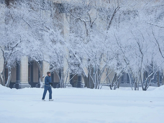 Ожидается приход теплой погоды с последующим возвращением морозов | Источник: Александр Ощепков / NGS.RU