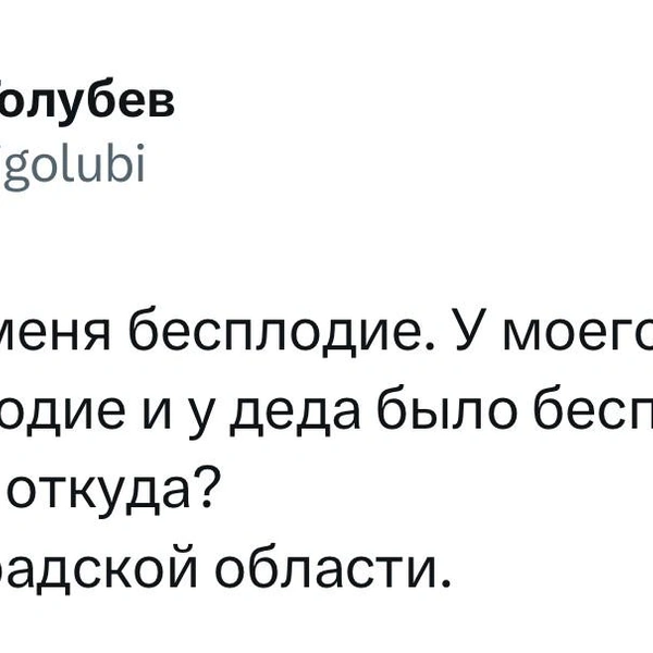 Источник: \X (Twitter)