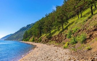 Рубите, мужики? На Байкале хотят разрешить сплошную рубку леса