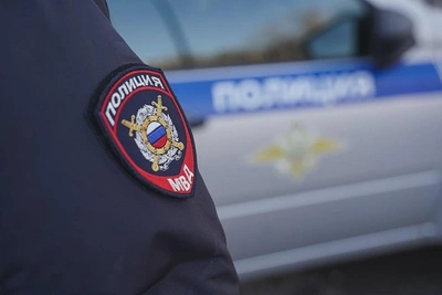 В Дальнегорске задержали серийного дачного вора