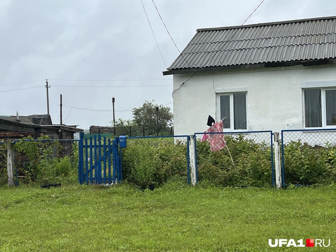 Какое интересное пугало | Источник: Андрей Бирюков / UFA1.RU