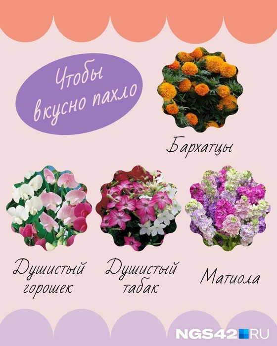 Источник: Татьяна Ирискина / NGS42.RU