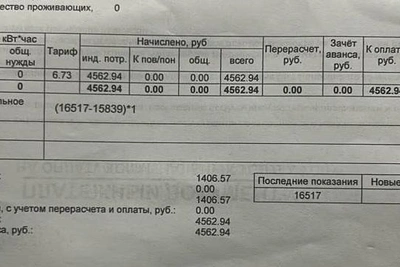Жительница «Дома с лебедями» получила счёт за свет на 4500 рублей