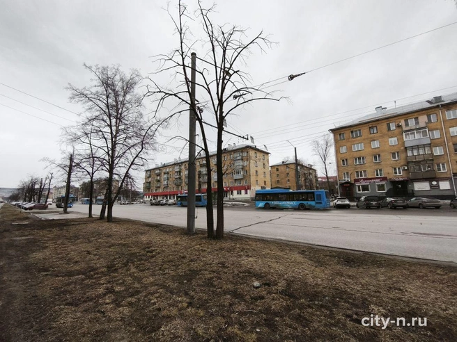 Источник: www.city-n.ru