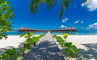 10 удивительных фактов о Мальдивах, которые вы не знали