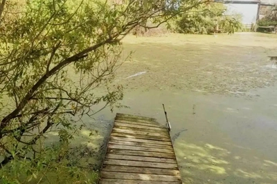 В Кургане утонул мужчина после бани