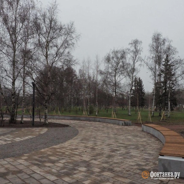 Источник: Михаил Огнев / «Фонтанка.ру»