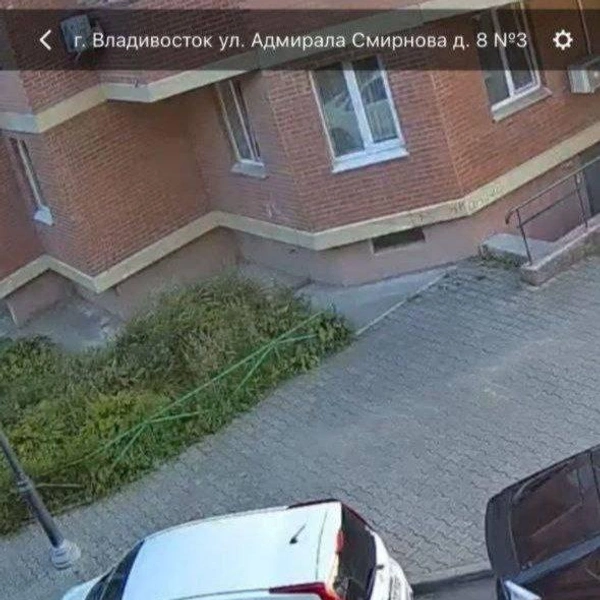 Источник: Svodka 25 / T.me