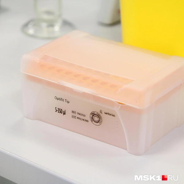 Источник: Татьяна Спиридонова / MSK1.RU