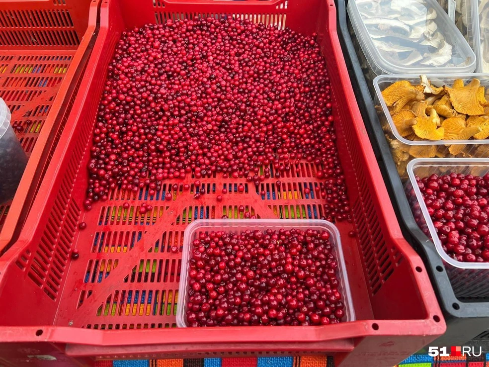 Источник: Александра Балаба