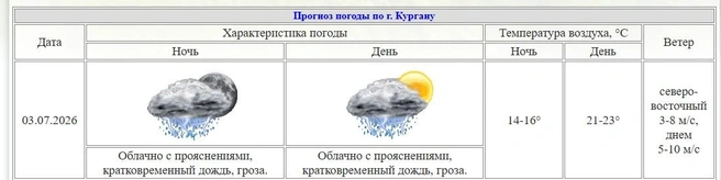 Источник: скрин с сайта Курганского ЦГМС
