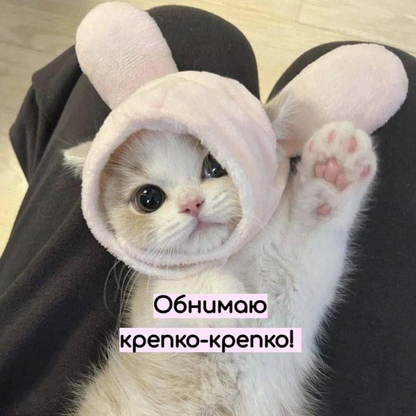 Источник: Социальные сети