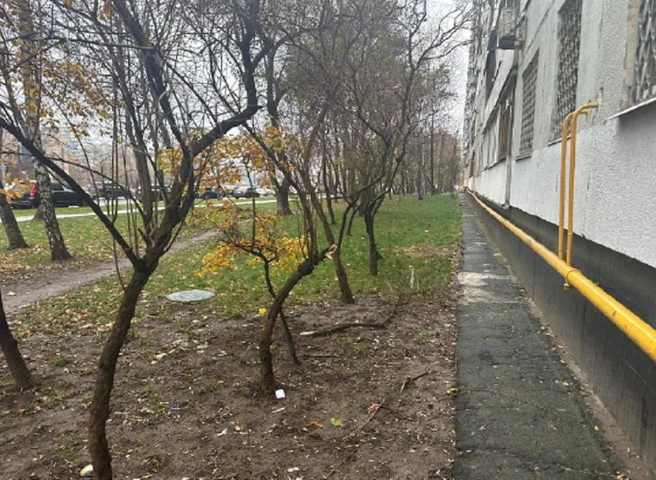 Девочка, которую мать выбросила с 11-го этажа в Москве, умерла в больнице | ya62.ru