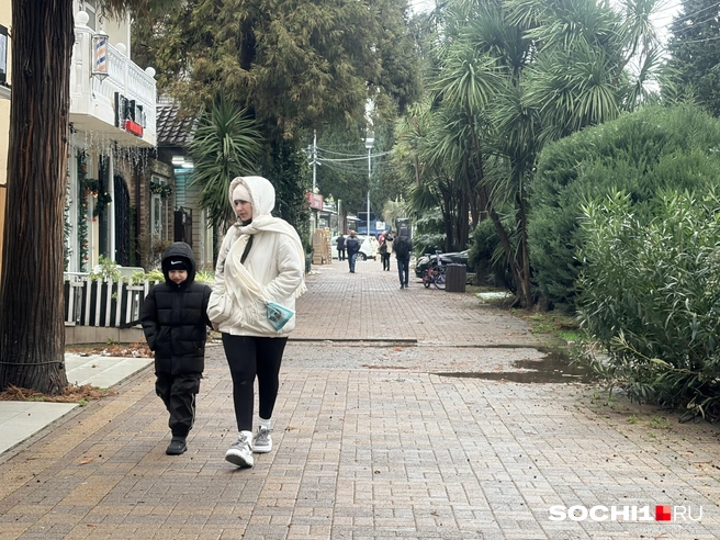 На Сочи надвигается ультраполярное вторжение | Источник: Анна Грицевич / SOCHI1.RU