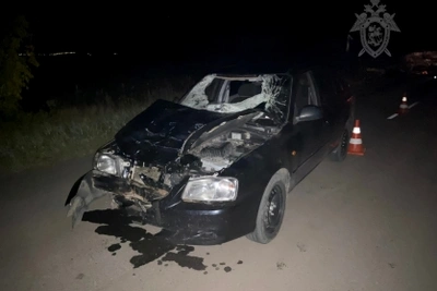 Суд вынес приговор водителю за гибель двух несовершеннолетних