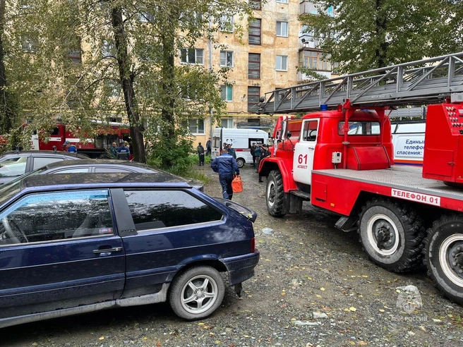 Источник: МЧС Свердловской области