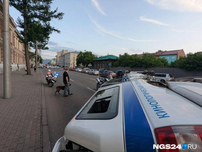 В машине был служебный пес | Источник: Мария Ленц / NGS24.RU