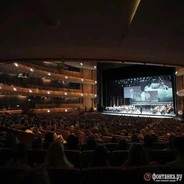 Источник: Дарья Драй / FONTANKA.RU