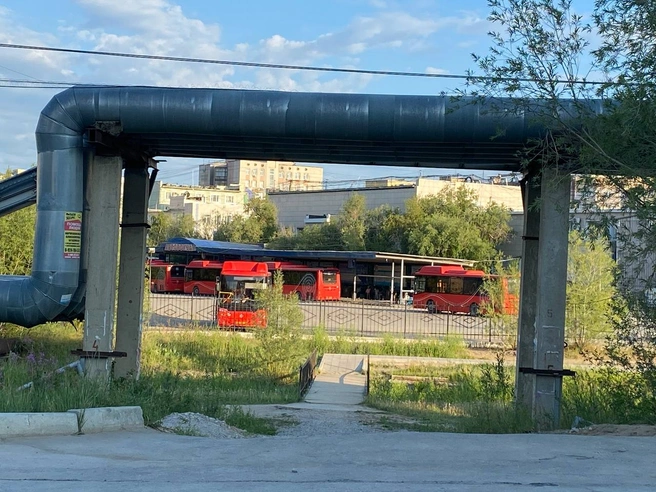 Новенькие десять автобусов, которые перевозили участников Игр, будут работать теперь на междугородних рейсах | Источник: Надежда Ефимова