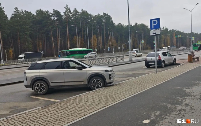 Многие водители ставят автомобили по диагонали, хотя есть разметка и знаки | Источник: читатель E1.RU