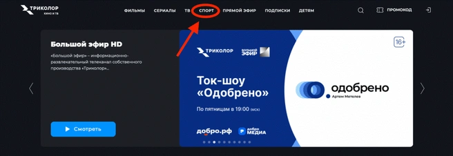Источник: mhl.khl.ru